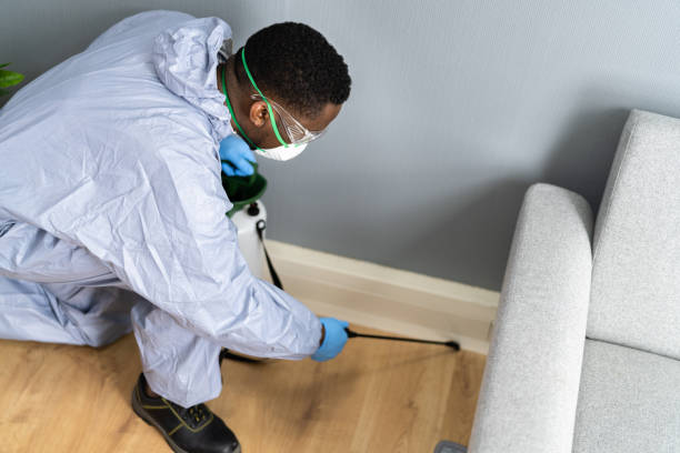 Best Pest Prevention Services  in Clawson, MI